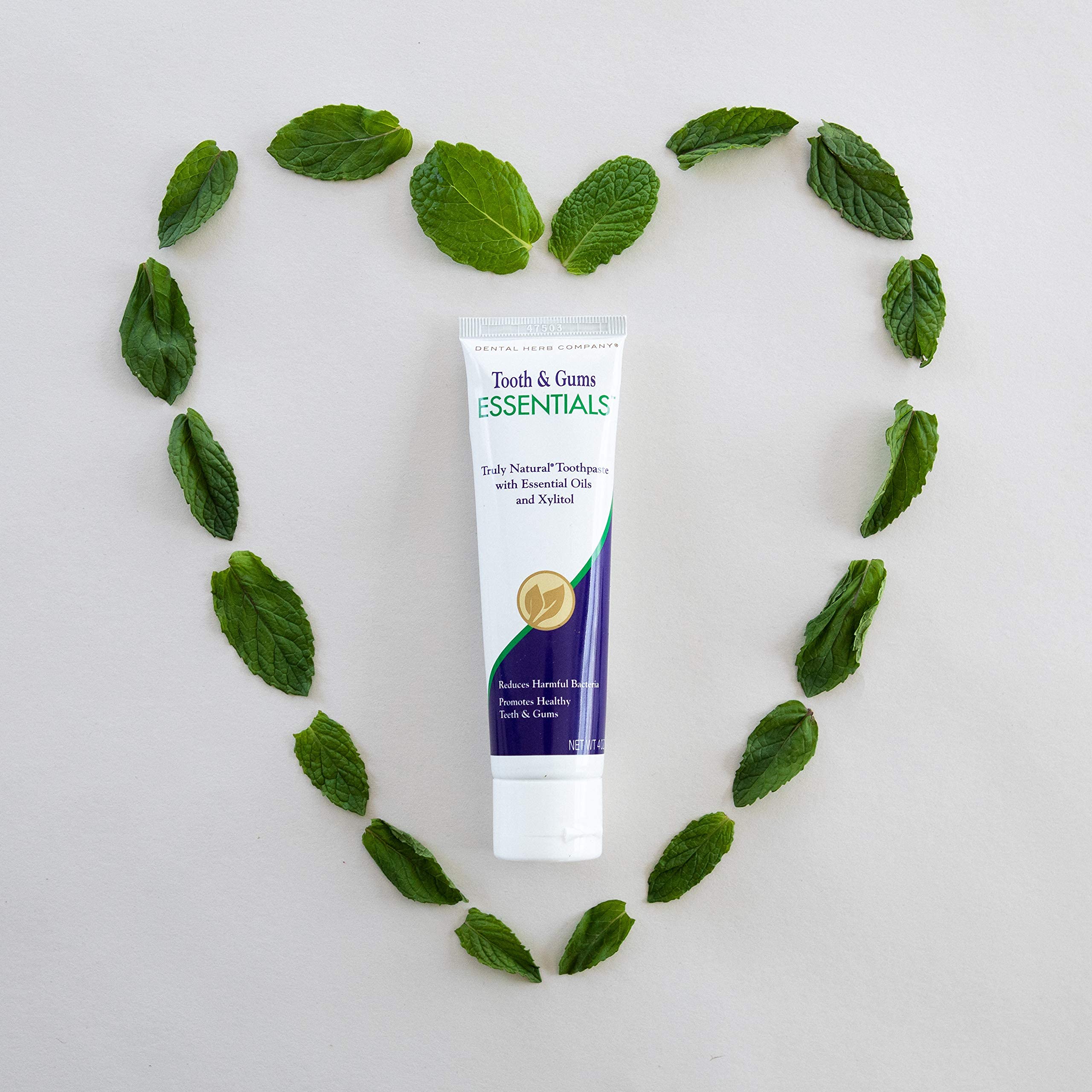 Dental Herb Company logo on toothpaste box