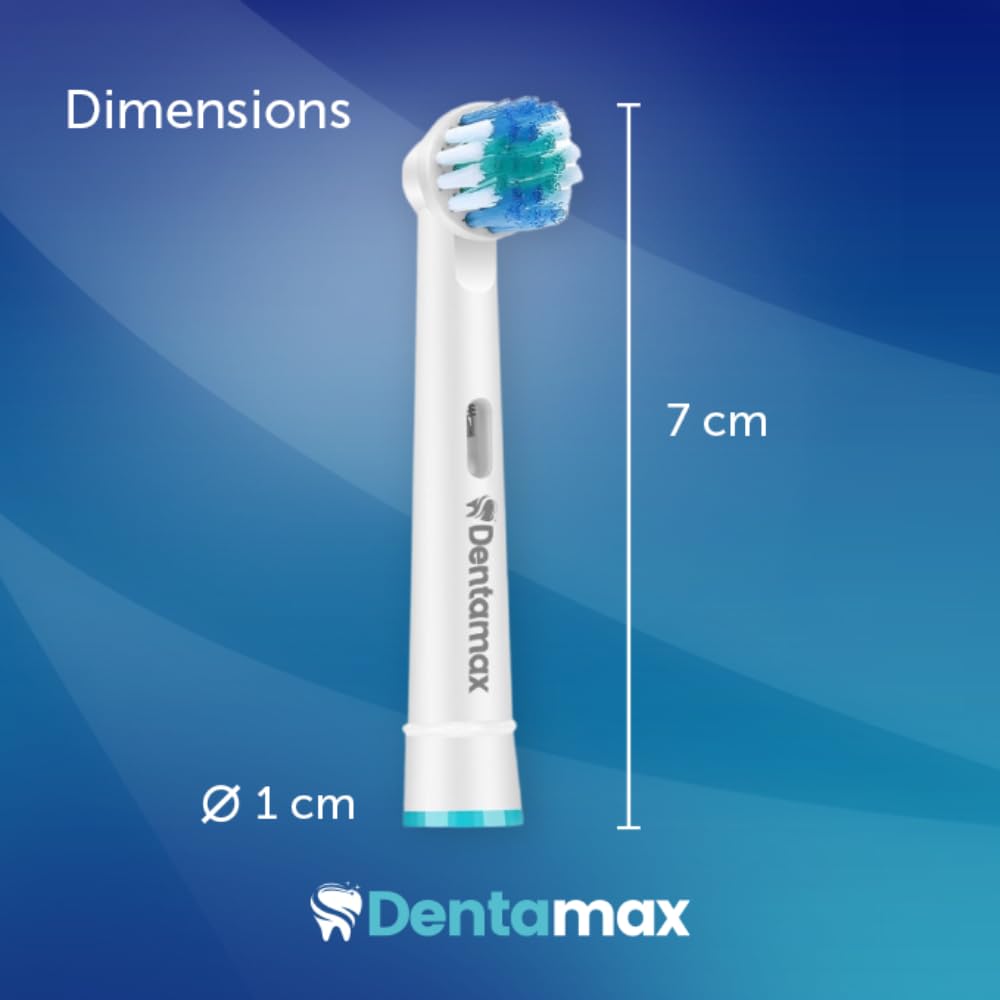 Multipack packaging of DENTAMAX replacement toothbrush heads