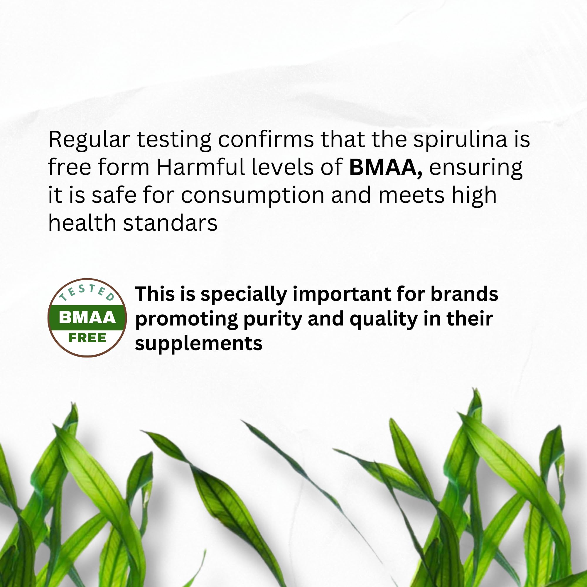 Detox support with chlorophyll-rich algae