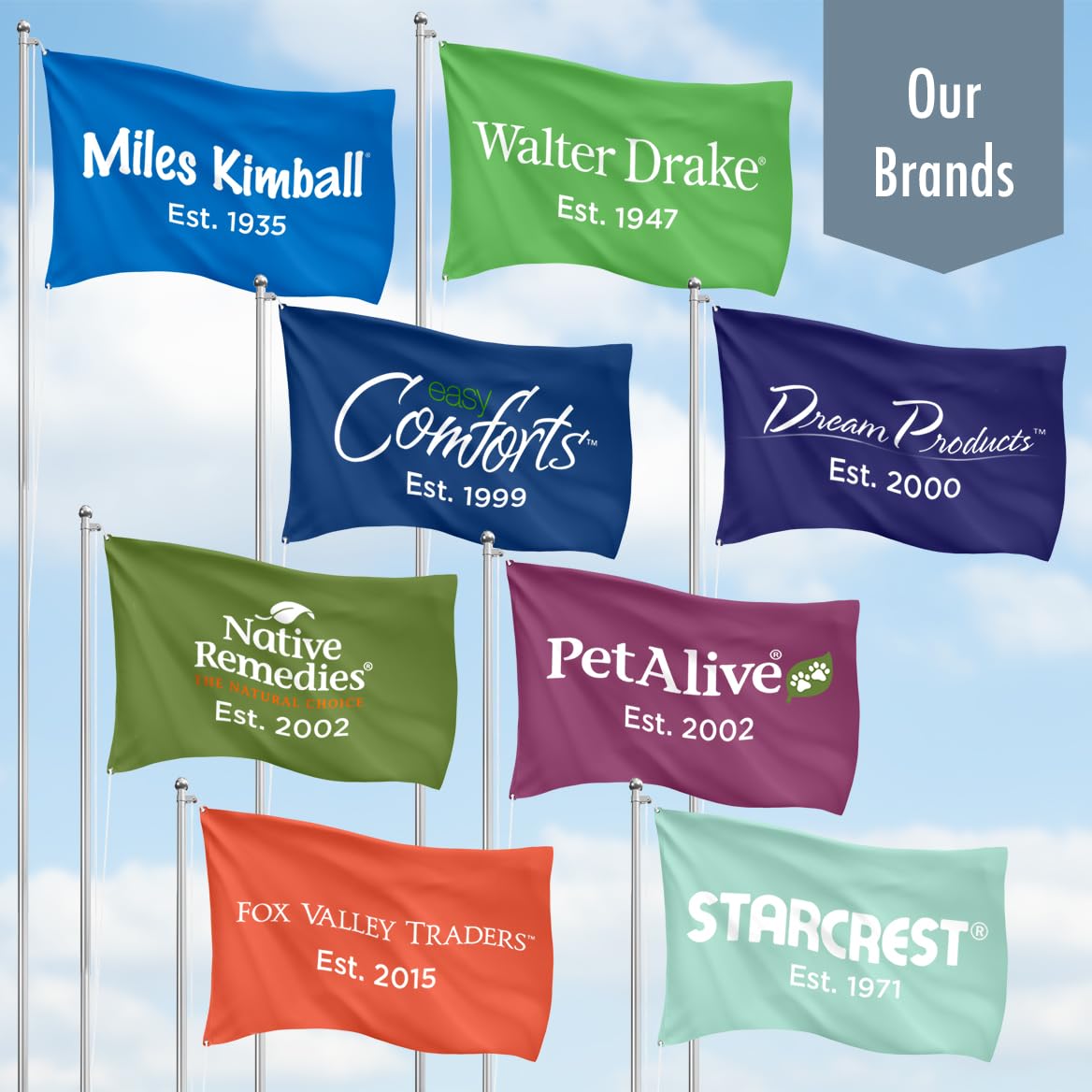 Detox Drops packaging and branding