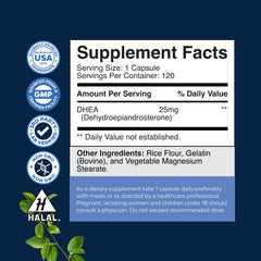 Close-up of DHEA 25mg capsule