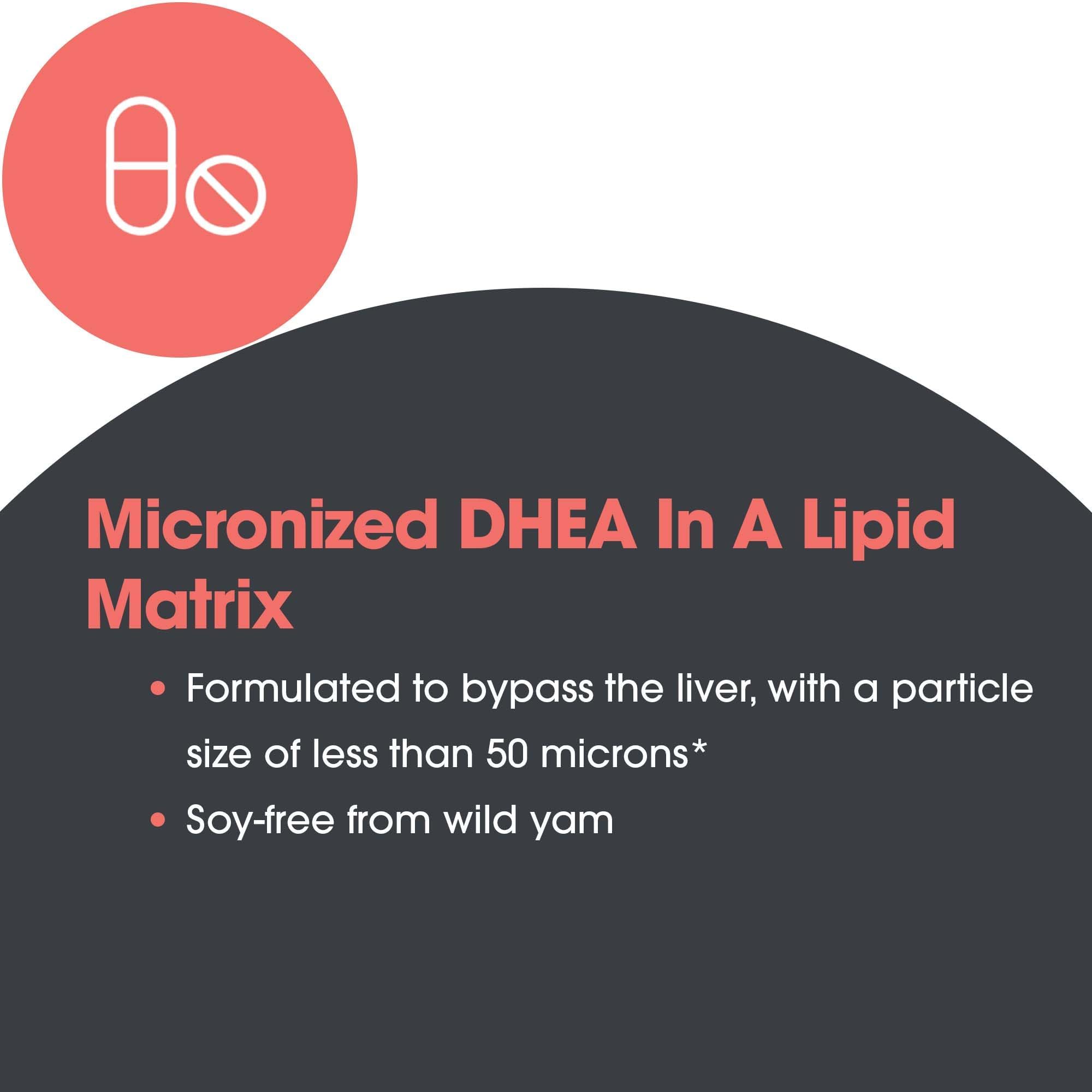 DHEA supports metabolism