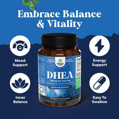 Close-up of DHEA 100mg capsule