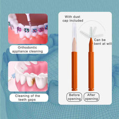 Portable and compact interdental brushes for travel
