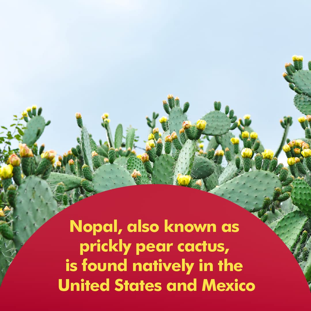 Serving size of 700 mg per capsule of Santo Remedio Nopal