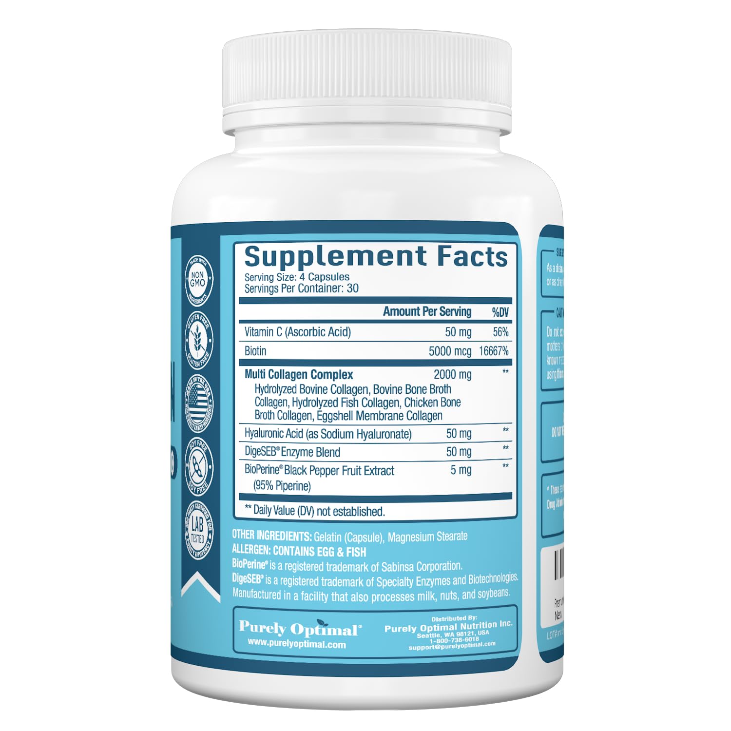 DigeSeb absorption enhancer illustration