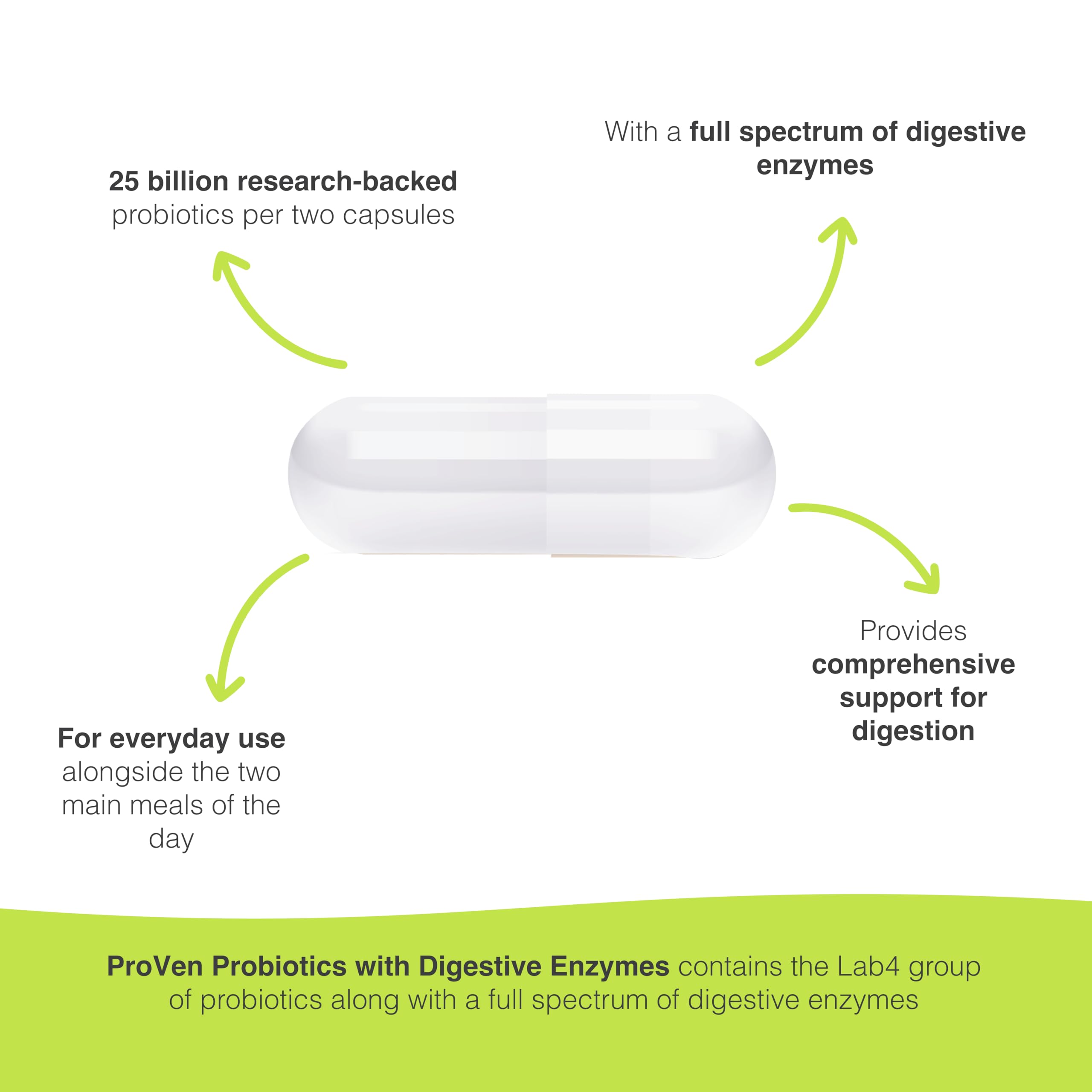 Illustration showing digestive enzymes and probiotics working together
