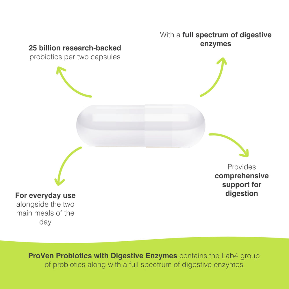 Illustration showing digestive enzymes and probiotics working together