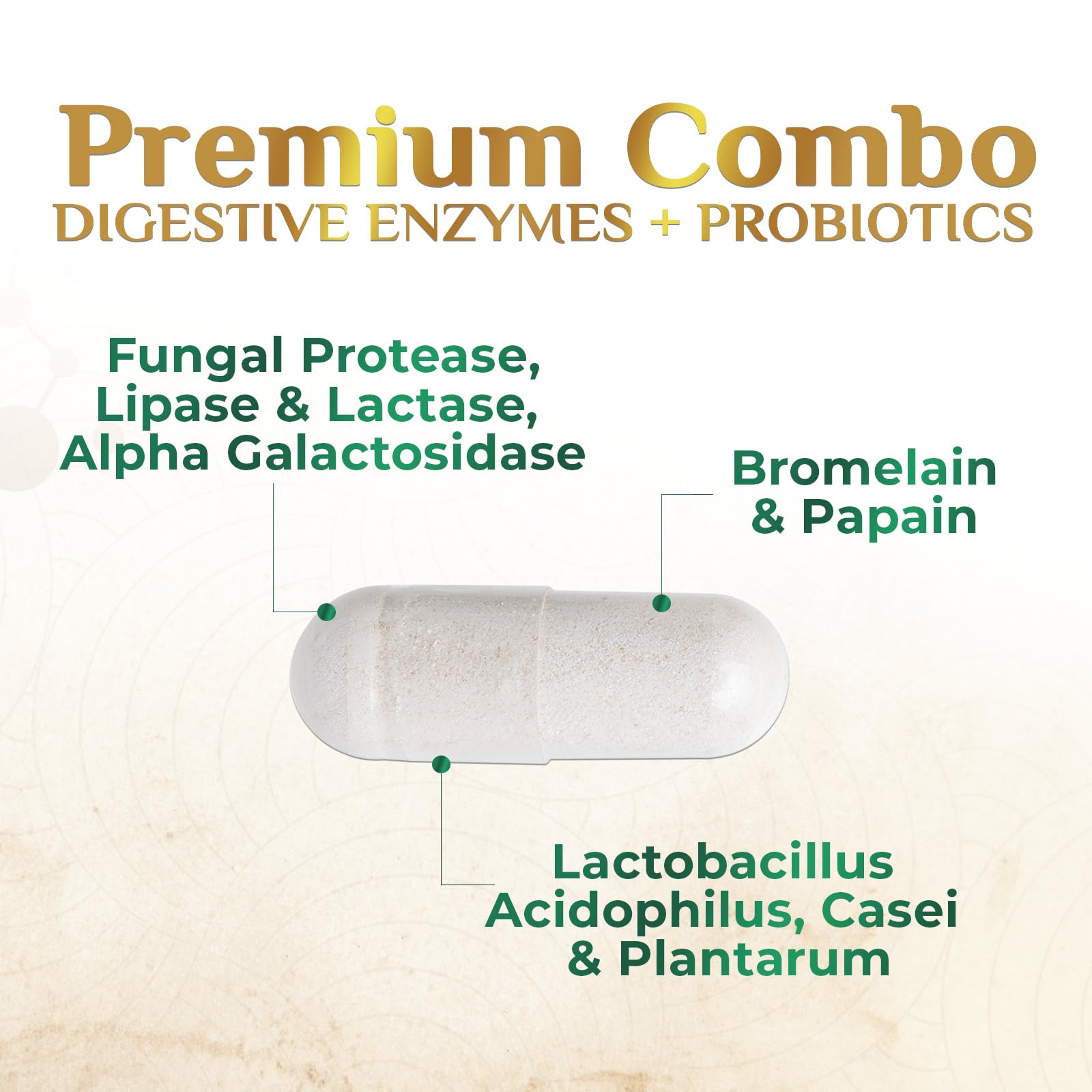 Macro shot of bromelain and papain enzyme capsules