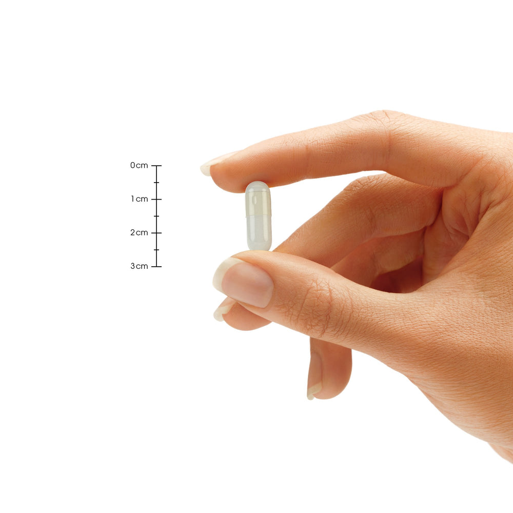 Infographic listing 18 essential enzymes included in the formula