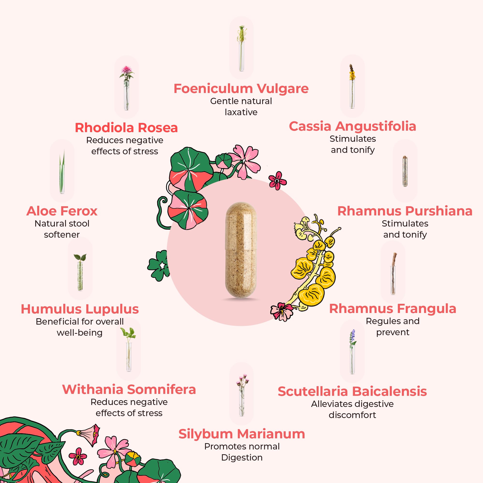 DigestLive ingredients highlighted on packaging