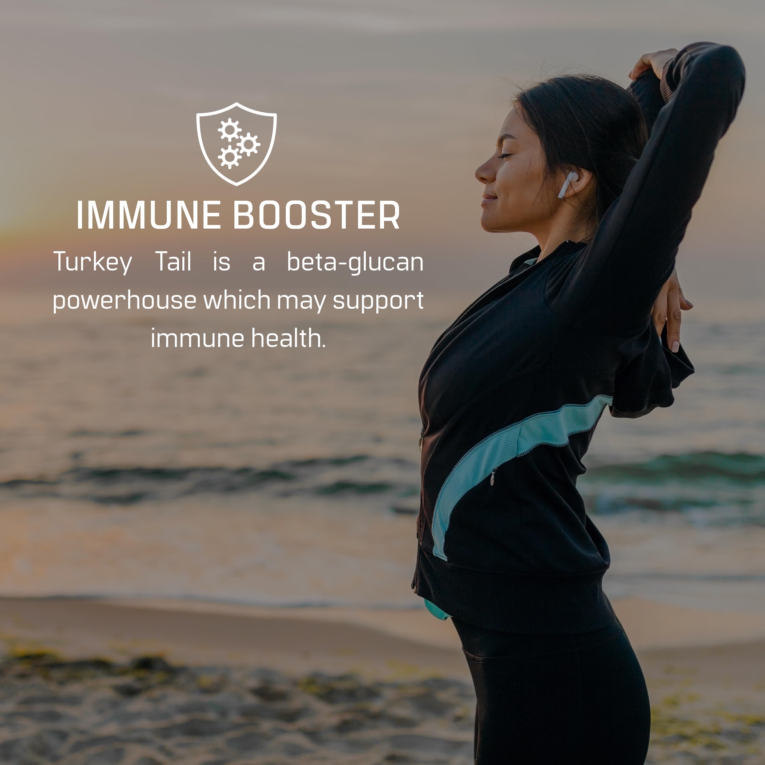 PSK and PSP polysaccharides representation for immune support and gut health