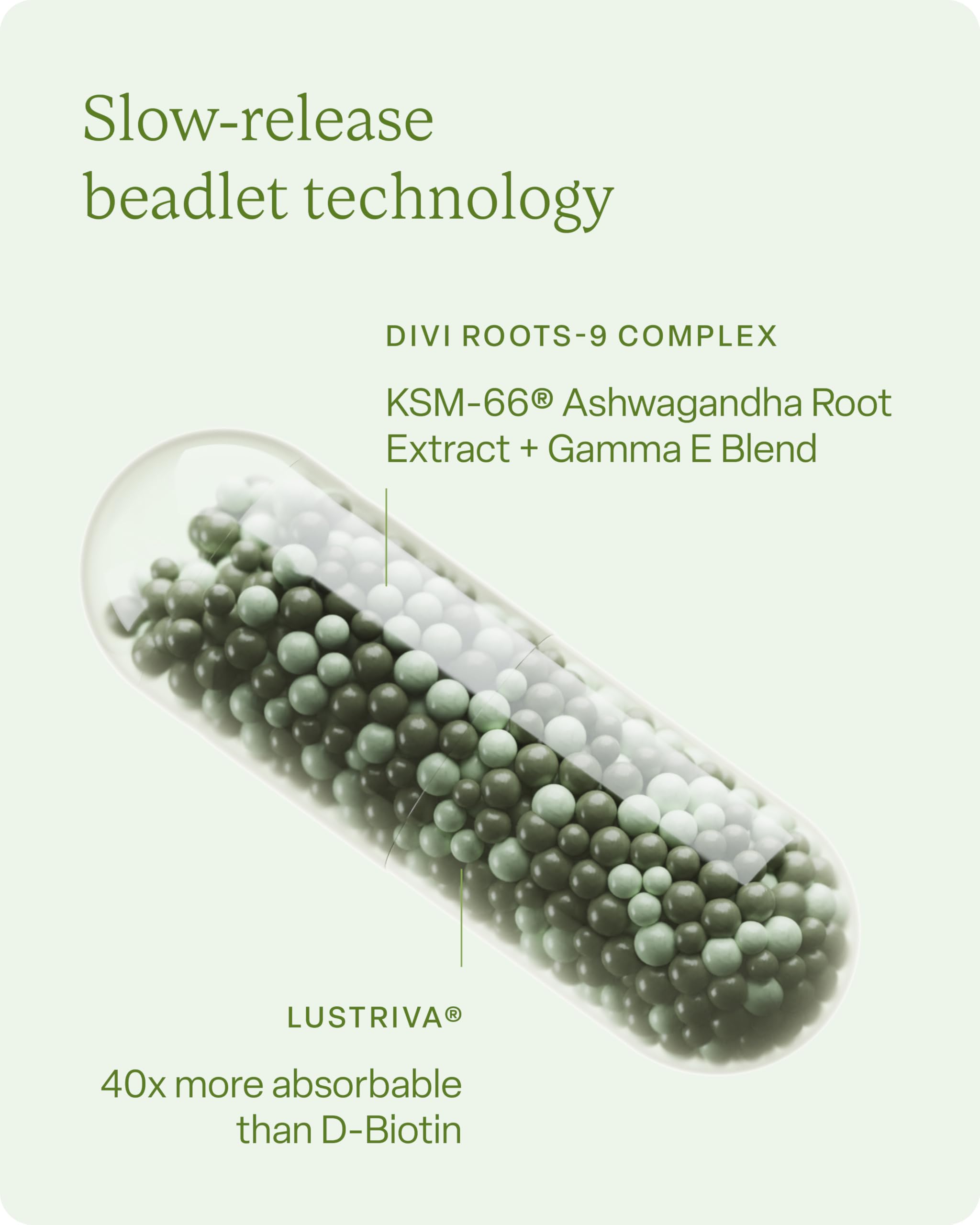 KSM-66 Ashwagandha root extract highlighted for the formula.