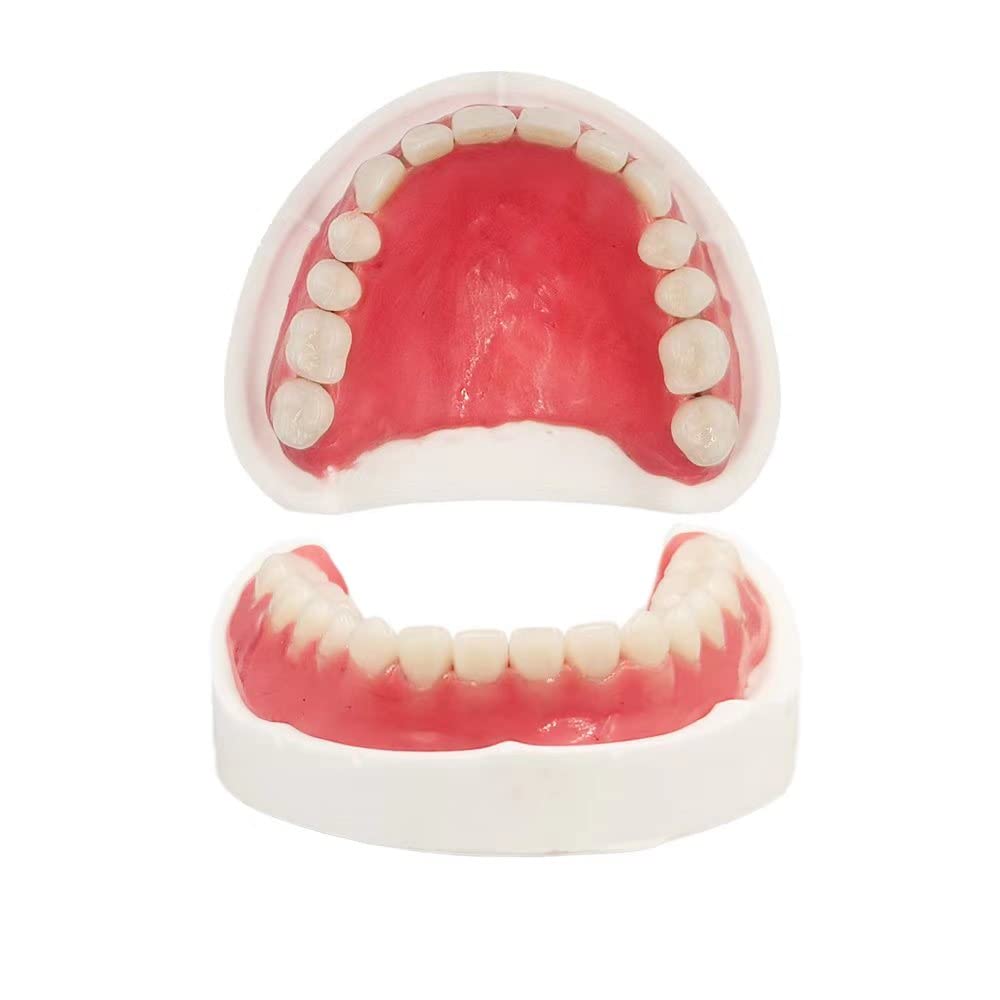 DIY Denture Kit cover image