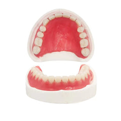 DIY Denture Kit cover image