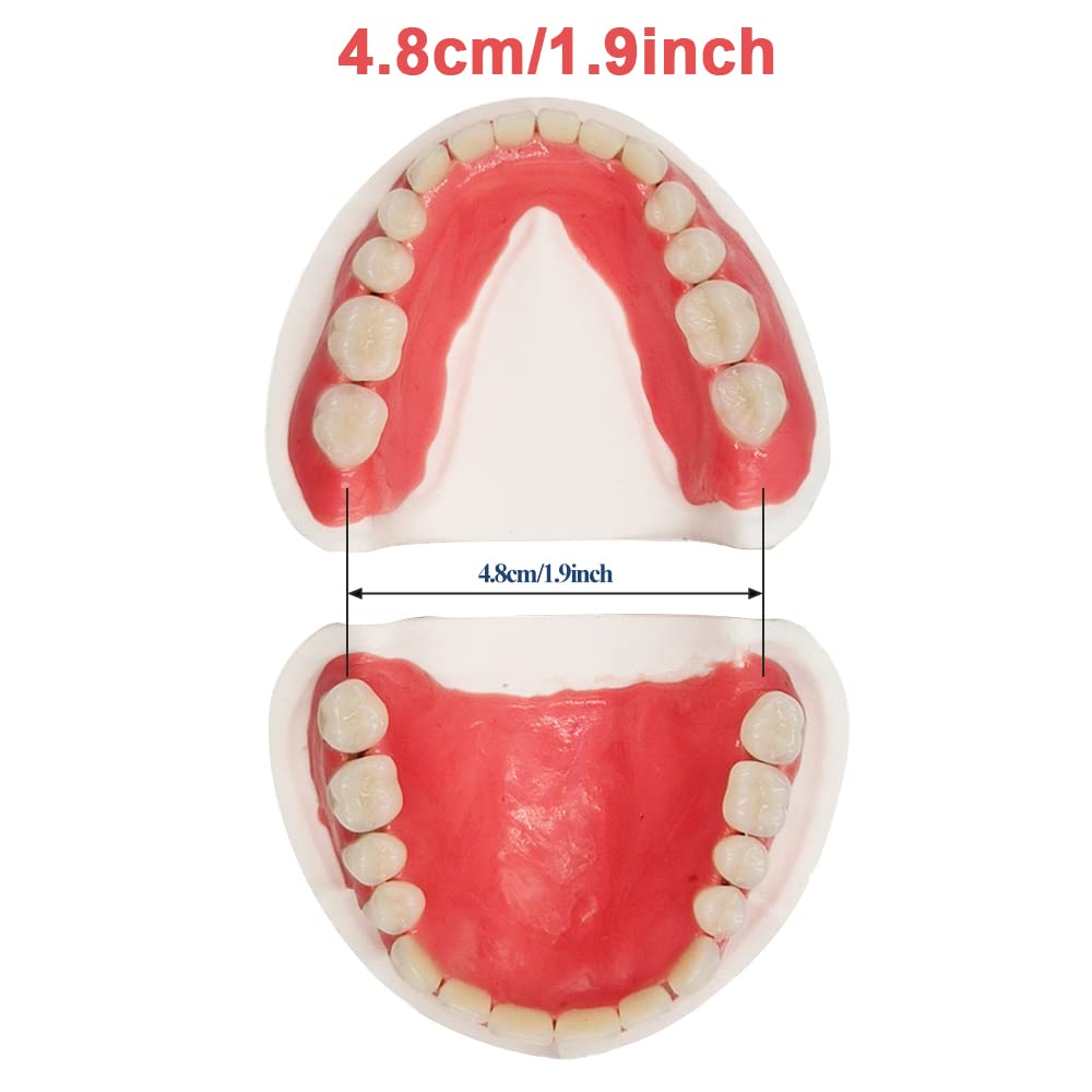 Size range guide for fitting the DIY denture