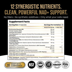 12-nutrient synergy with NR, Resveratrol, Pterostilbene, Quercetin and CoQ10
