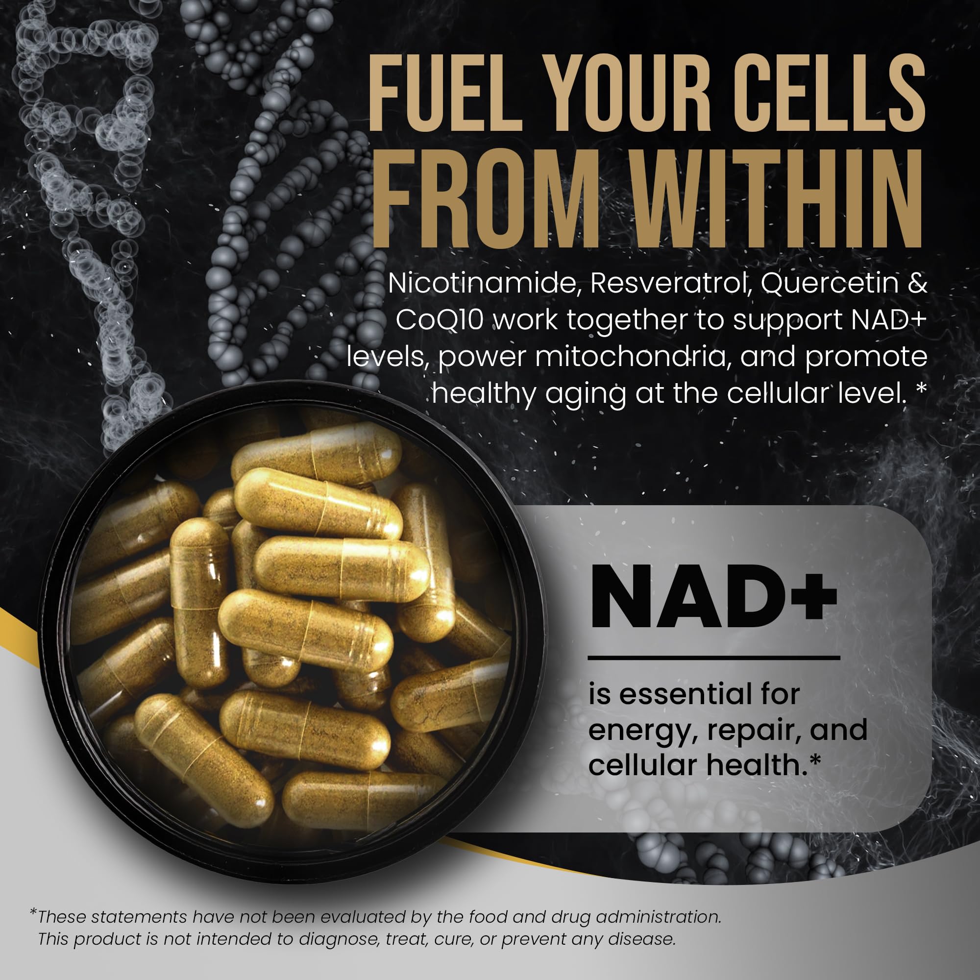 Key ingredients: NR, Resveratrol, Pterostilbene, CoQ10, NAC, TMG, D3, K2