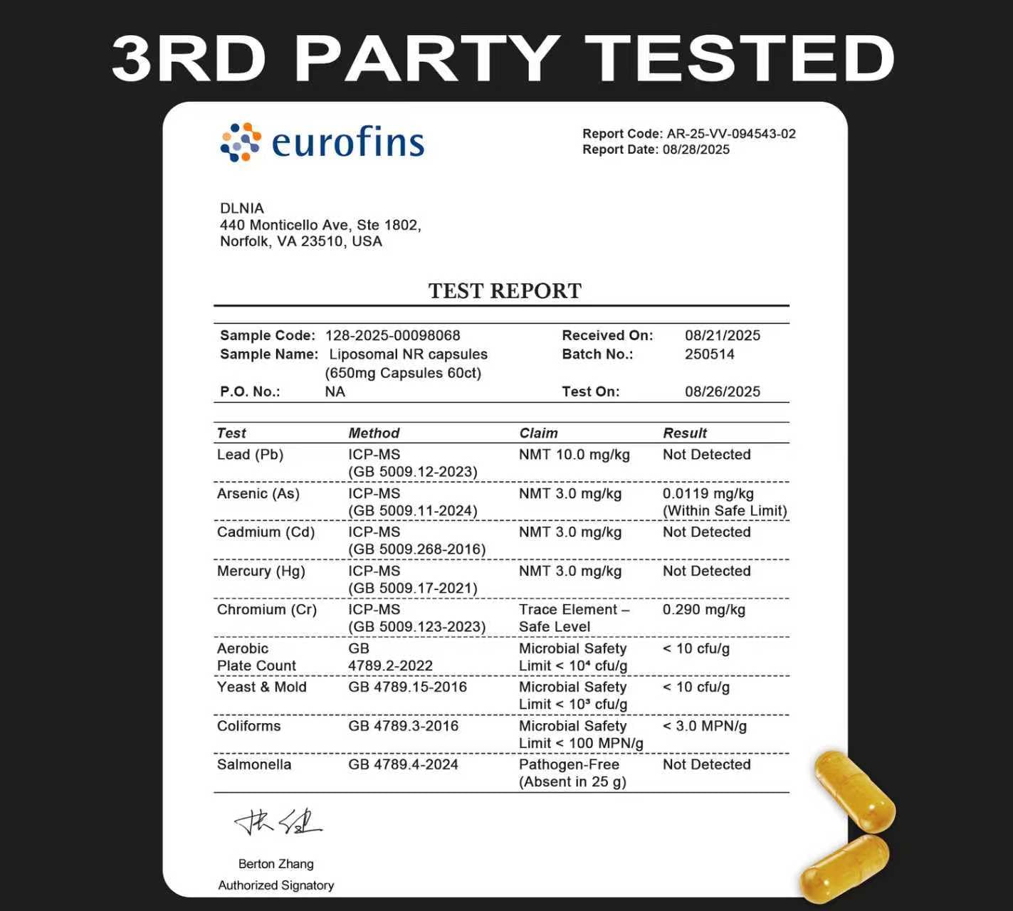 Illustration of NR liposomal uptake and absorption