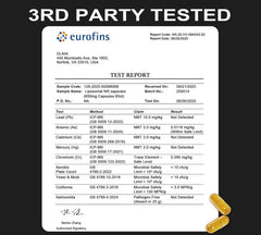 Illustration of NR liposomal uptake and absorption