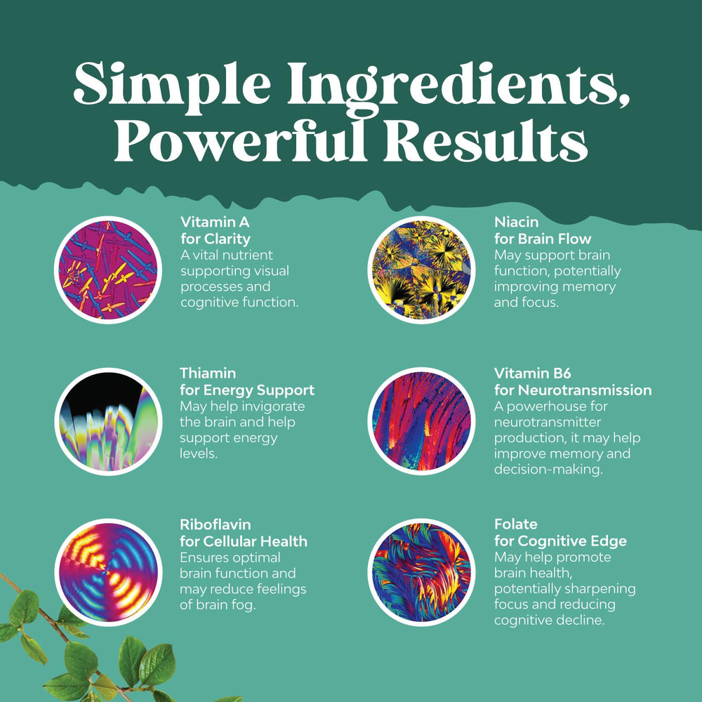 Ingredients DMAE Huperzine A and Bacopa capsules