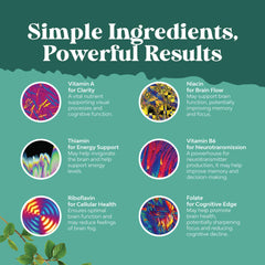 Ingredients DMAE Huperzine A and Bacopa capsules