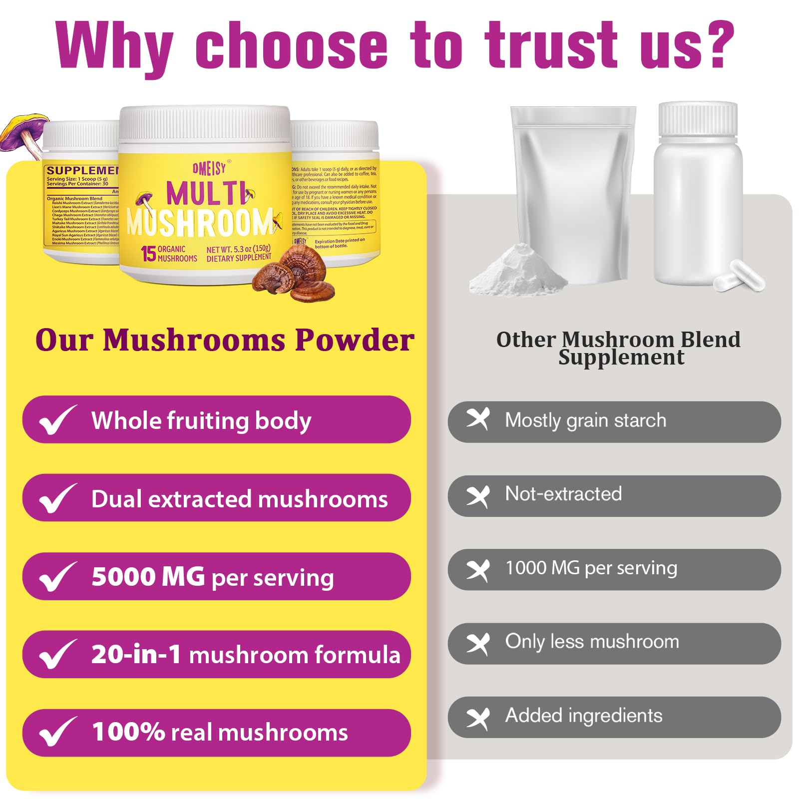 Chaga mushroom powder component in Dmeisy blend