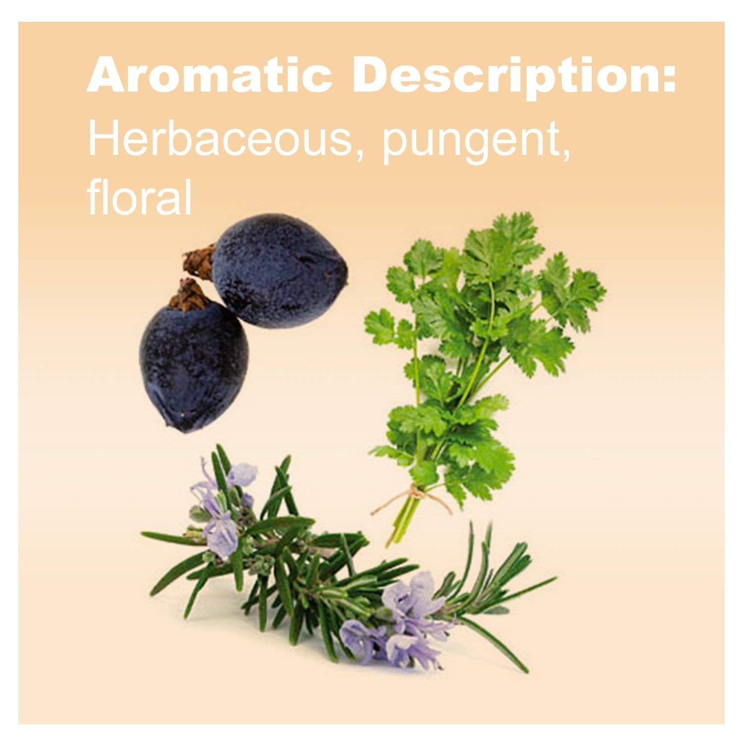 Front view of Zendocrine essential oil bottle 15 mL