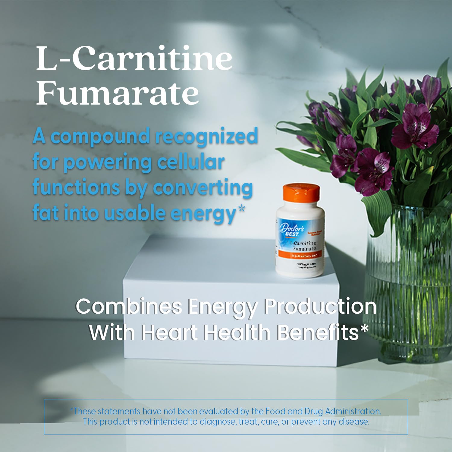 Doctor's Best L-Carnitine Fumarate bottle on desk suggests potential energy support during workouts.