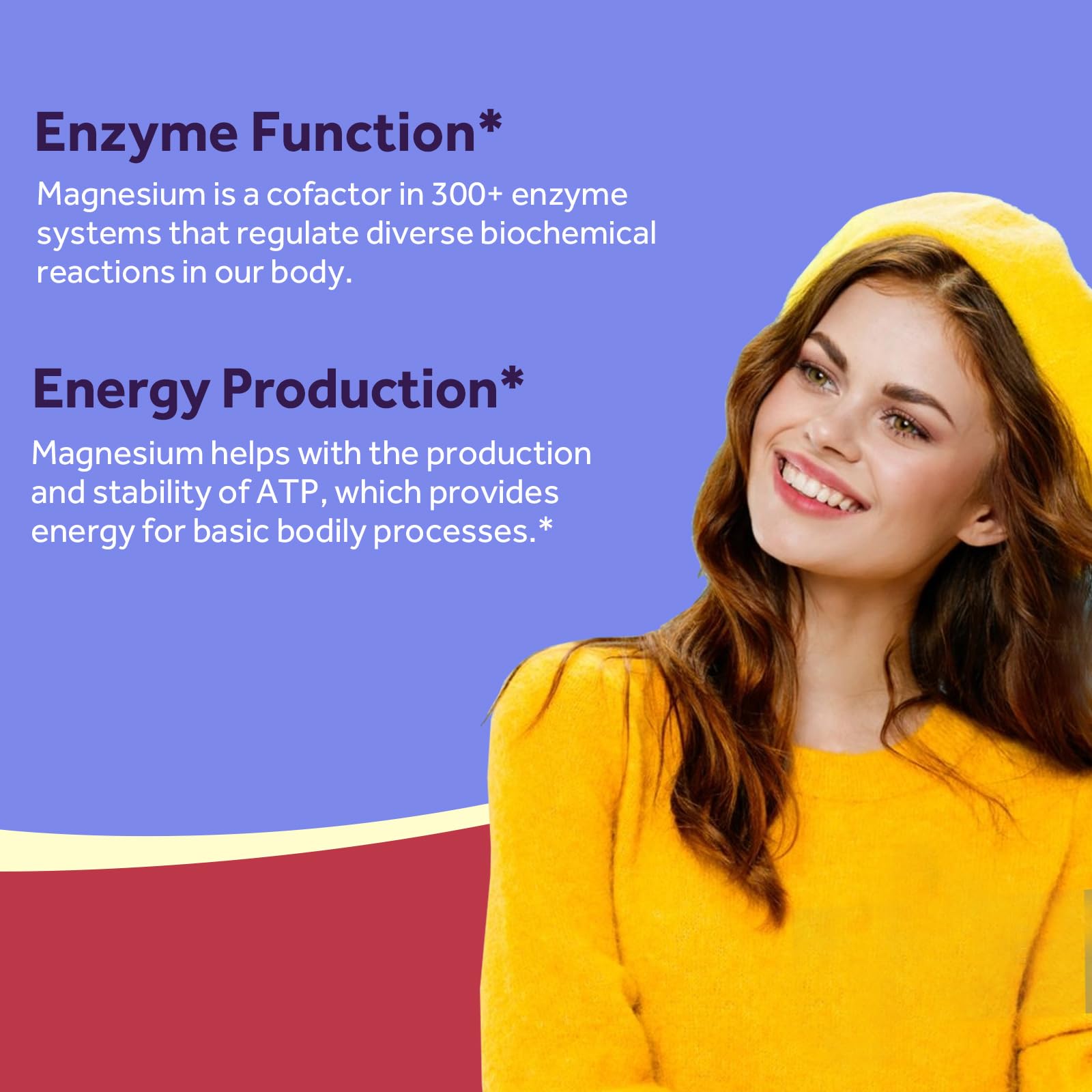 Chelated magnesium glycinate absorption diagram