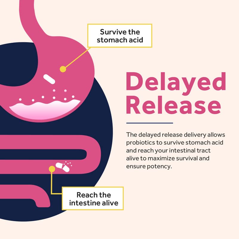Illustration of vaginal and urinary health support