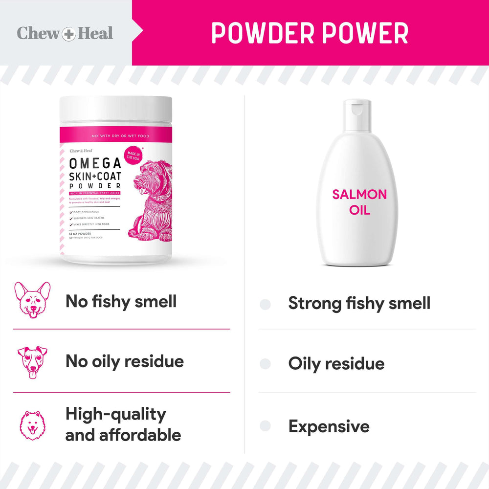 Close-up of a healthy shiny dog coat