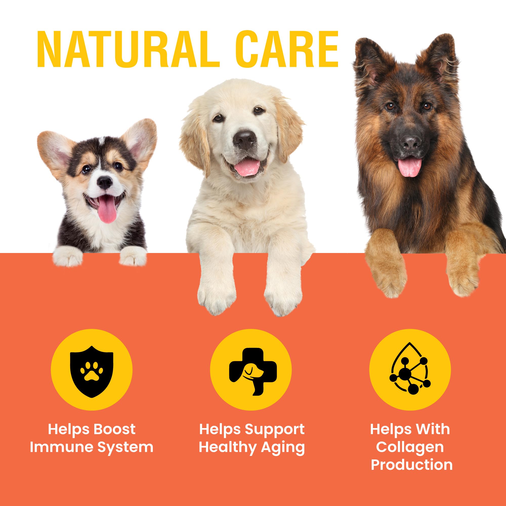 Dog immune support Vitamin C liquid packaging