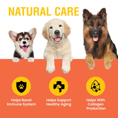 Dog immune support Vitamin C liquid packaging