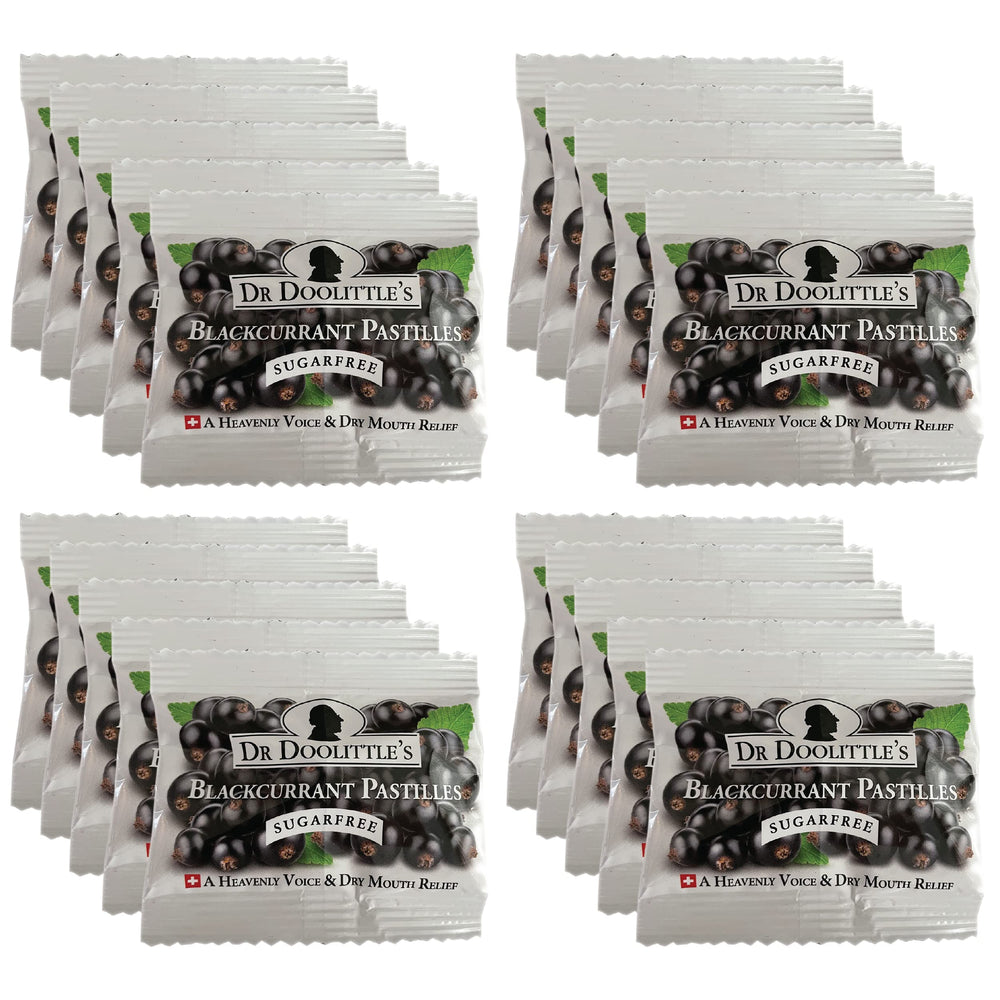 Doolittle Dr Sugar Free Soft Fruit Pastilles Blackcurrant flavor – hero image