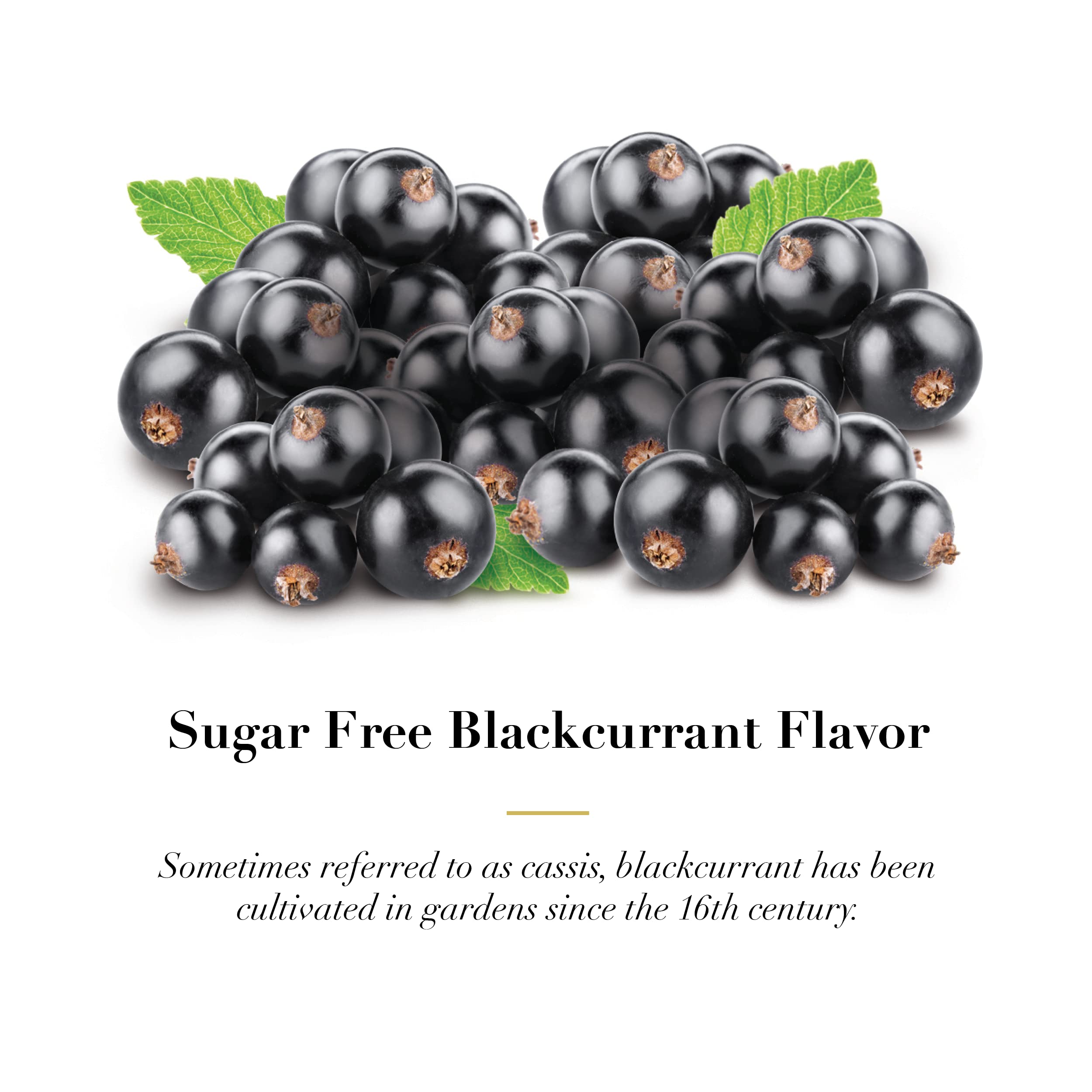 Close-up packaging of Doolittle Dr Sugar Free Soft Fruit Pastilles