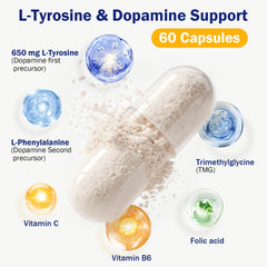 Graphic depicting L-Tyrosine and L-Phenylalanine ingredients