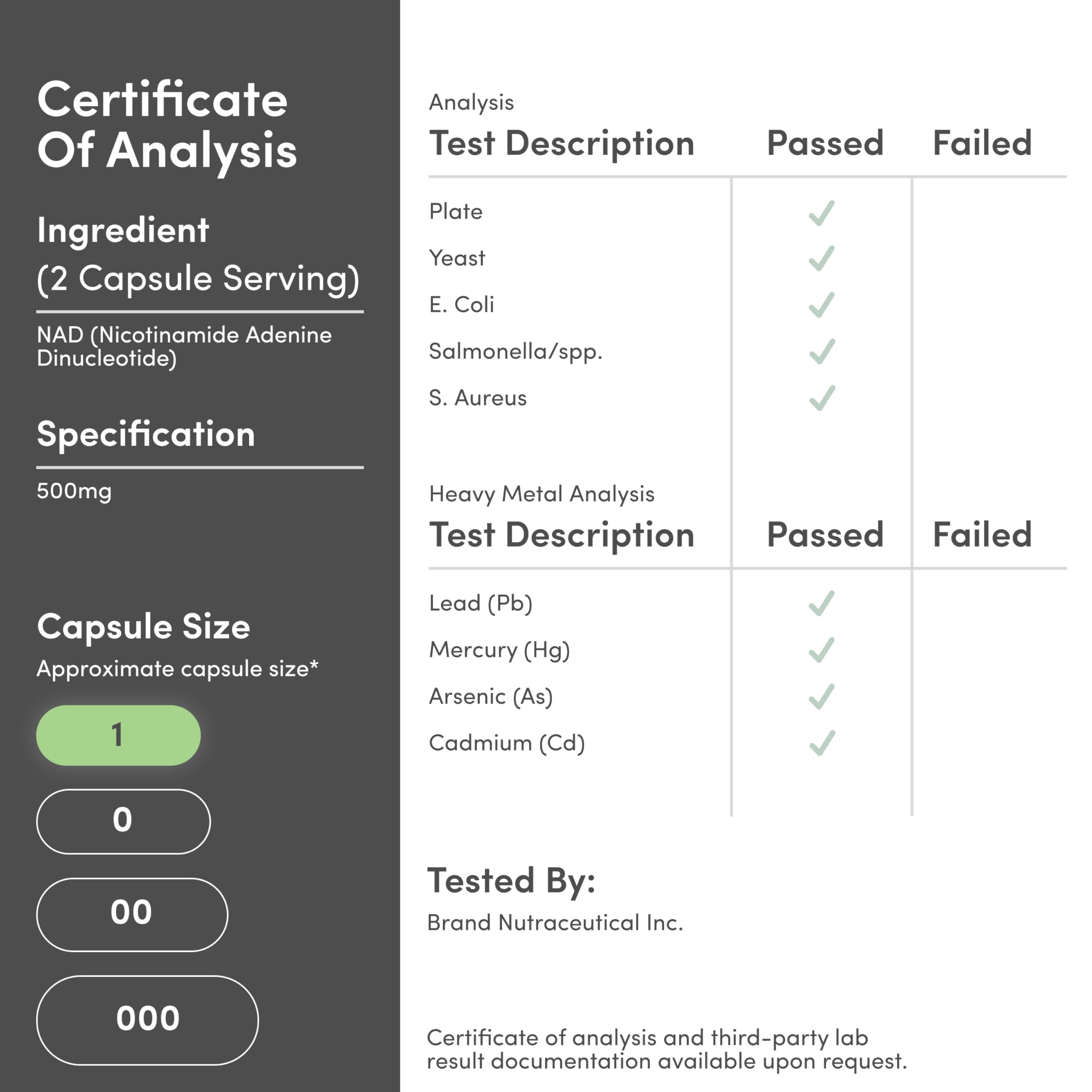 Lifestyle image of healthy aging with NAD+ supplement on table