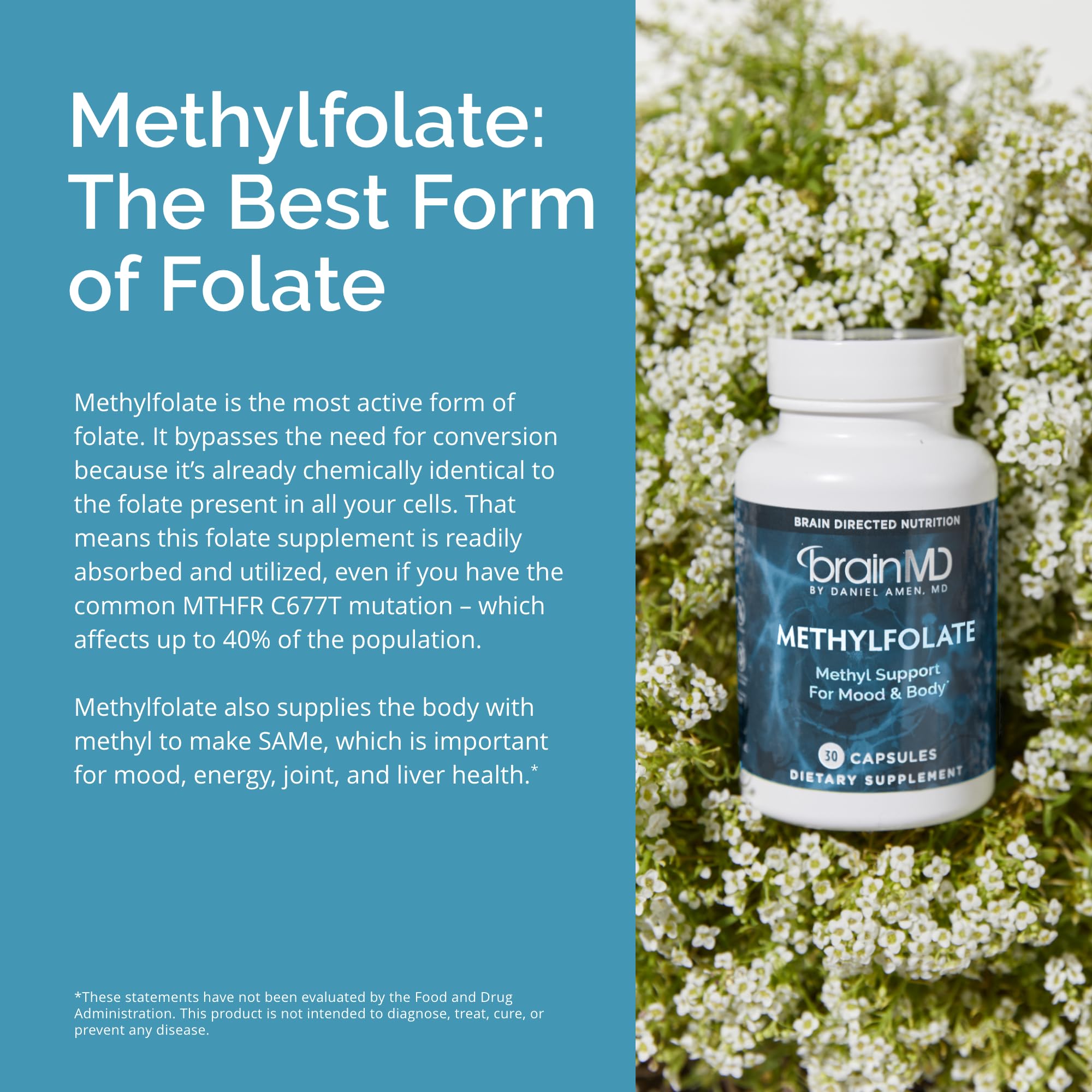 Lifestyle image representing brain health and mood support