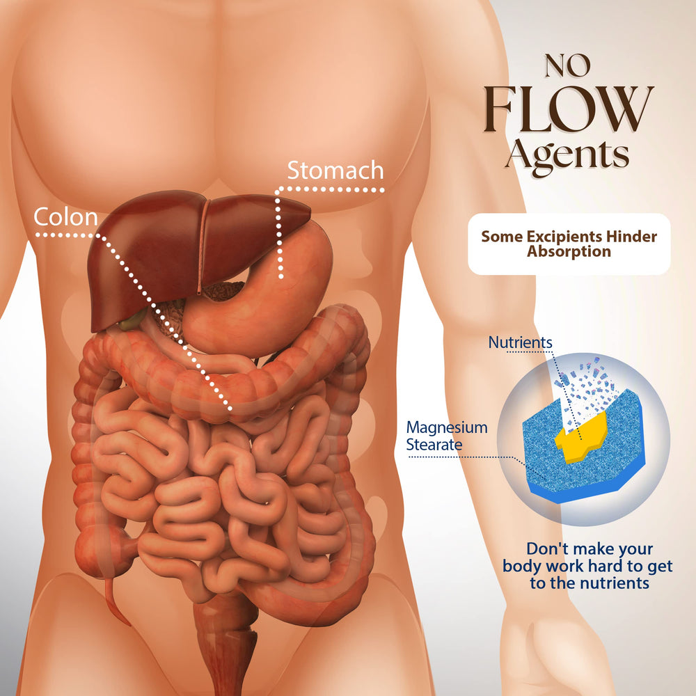 Concept illustration of digestion support from Dr Clark Betaine HCL