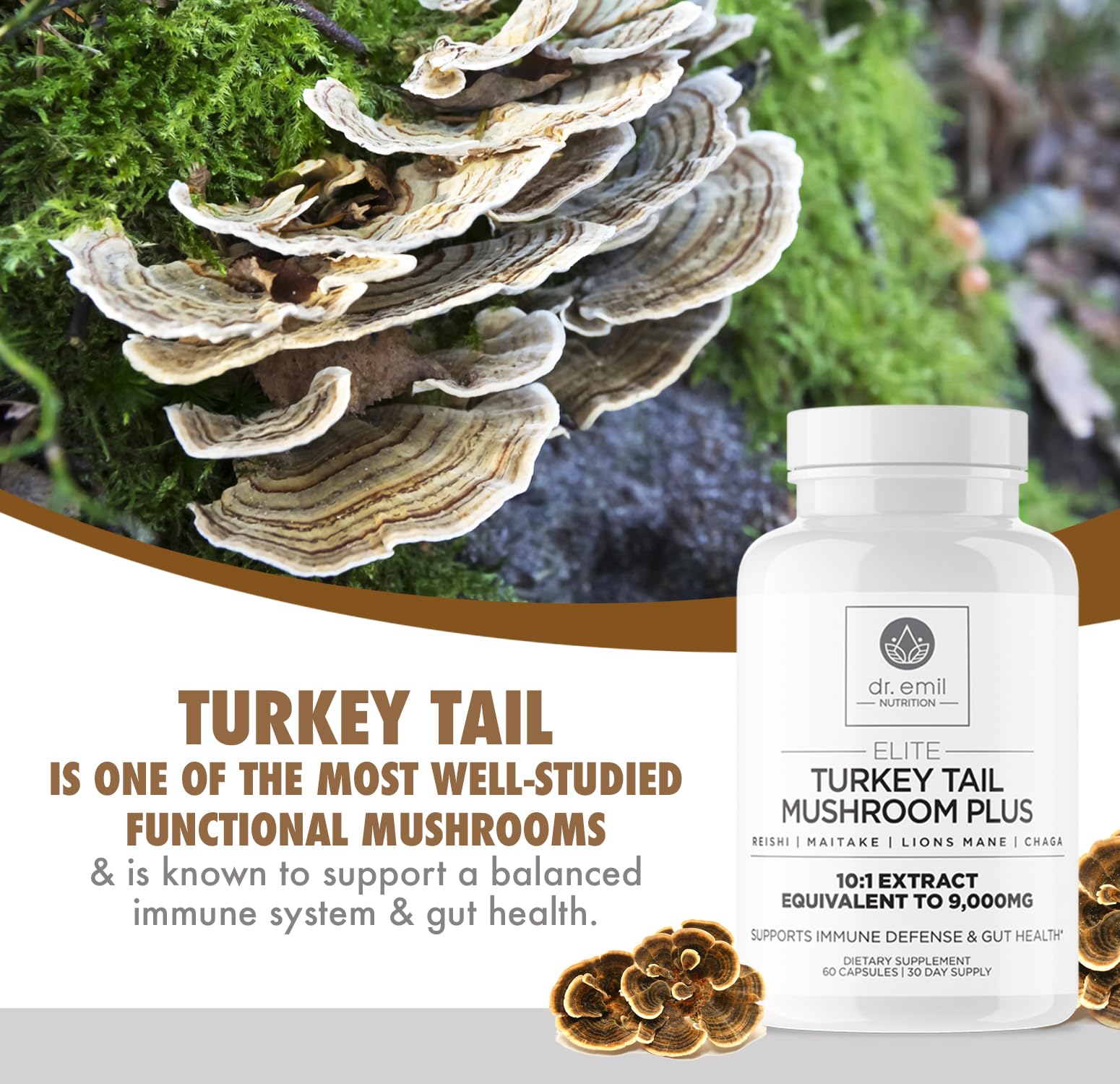 Five-mushroom blend: Lion's Mane, Chaga, Maitake, Reishi and Turkey Tail