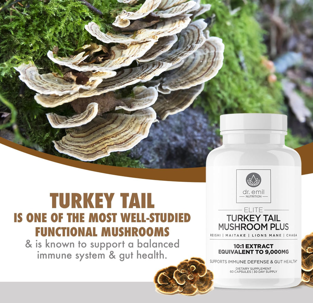 Five-mushroom blend: Lion's Mane, Chaga, Maitake, Reishi and Turkey Tail