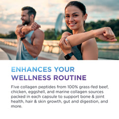 Graphic illustrating collagen types I, II, III, V & X
