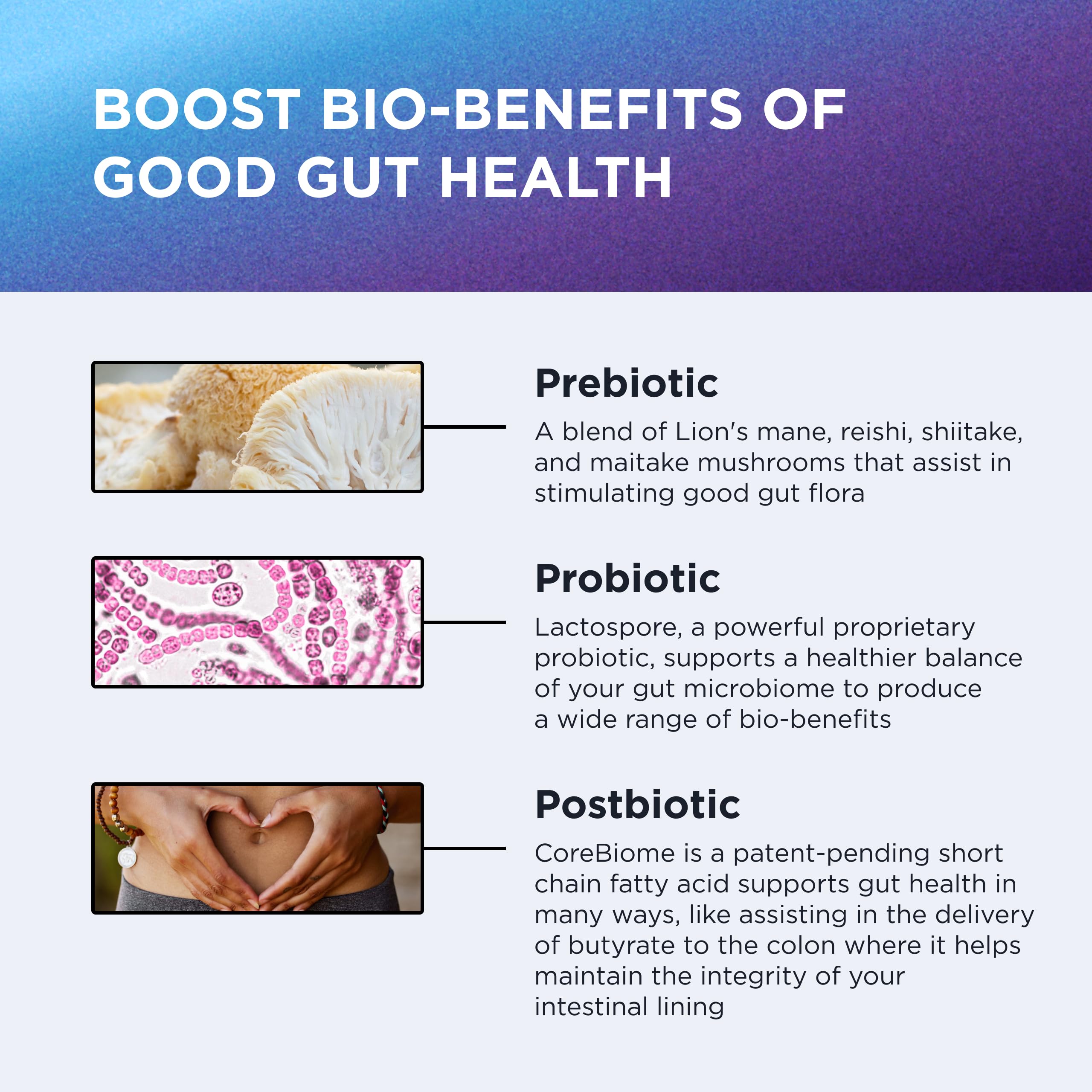 Bacillus coagulans (LactoSpore) probiotic capsules
