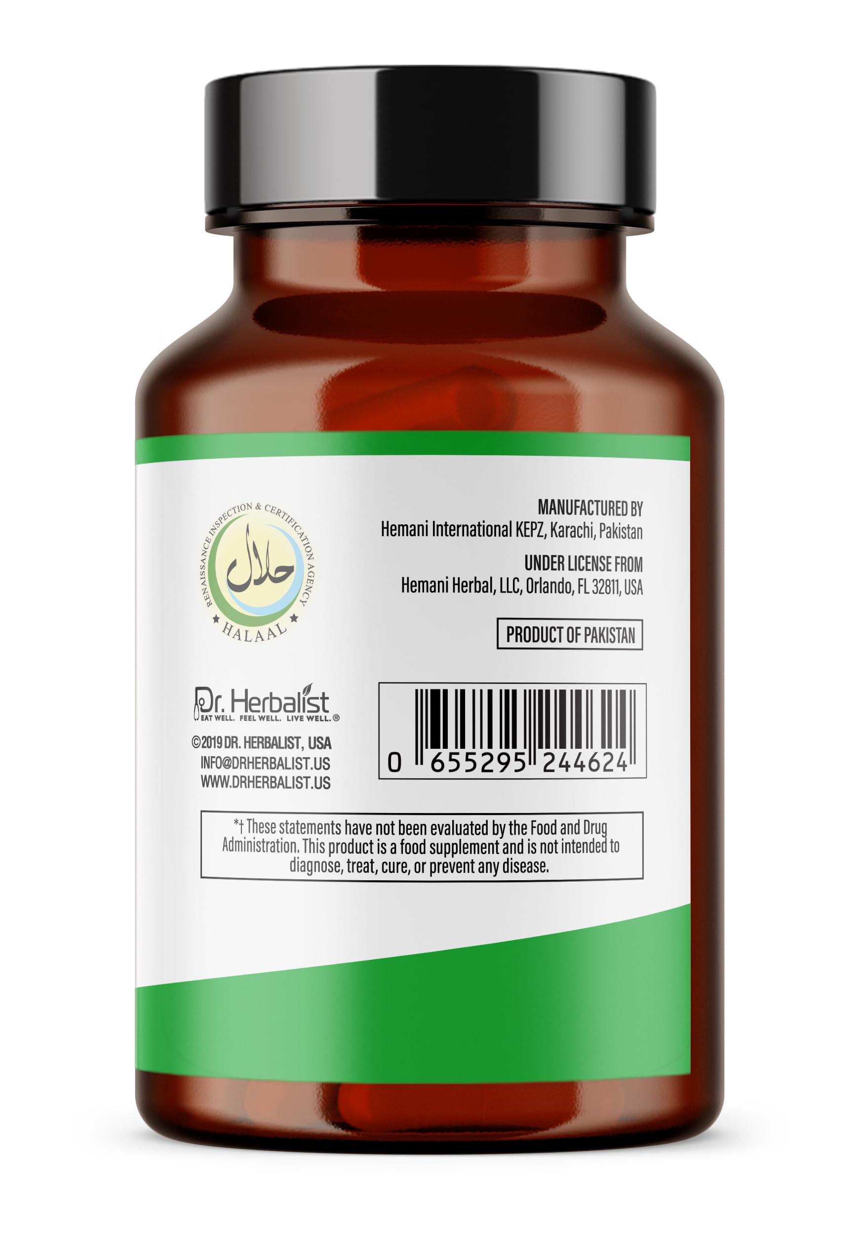 Digestive health and absorption illustration