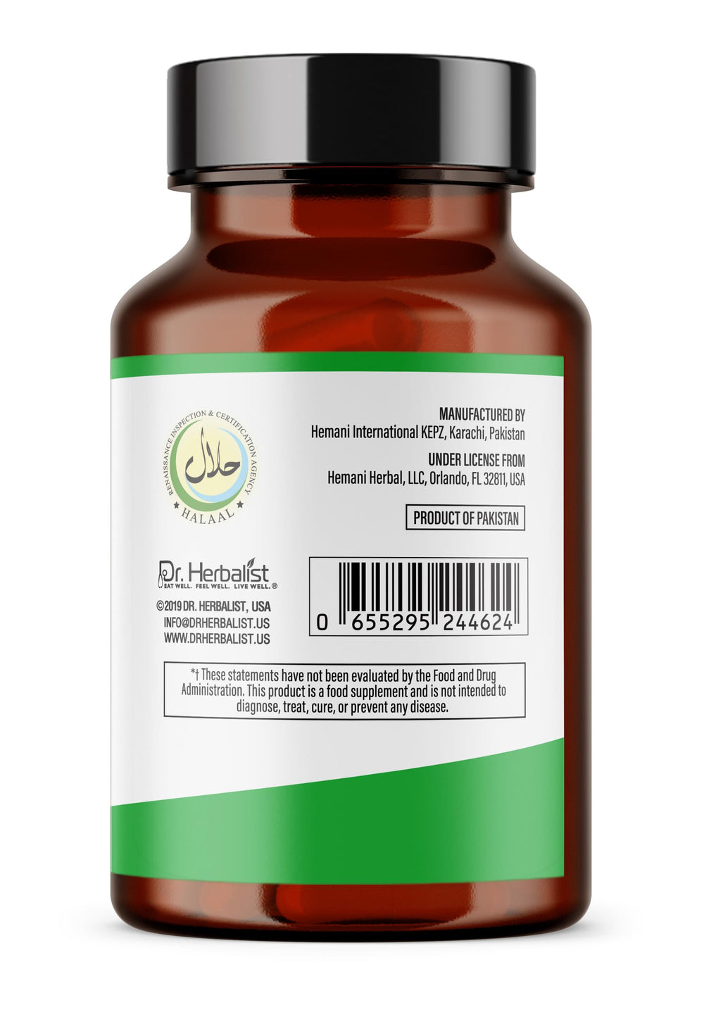 Digestive health and absorption illustration