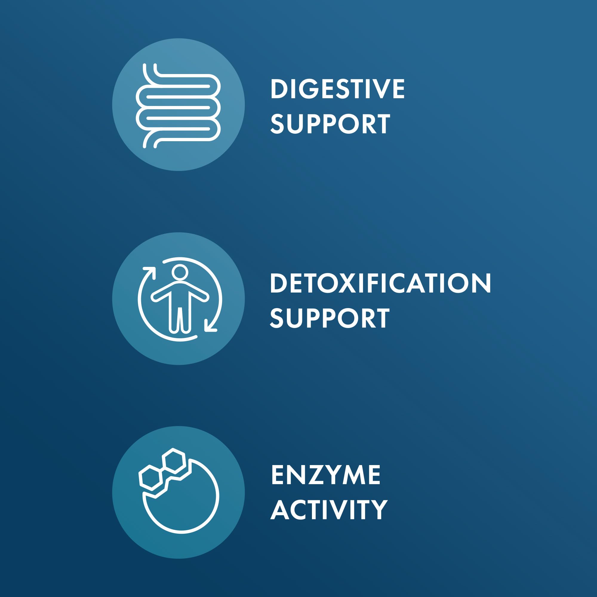 Betaine HCL & Pepsin ingredients visual