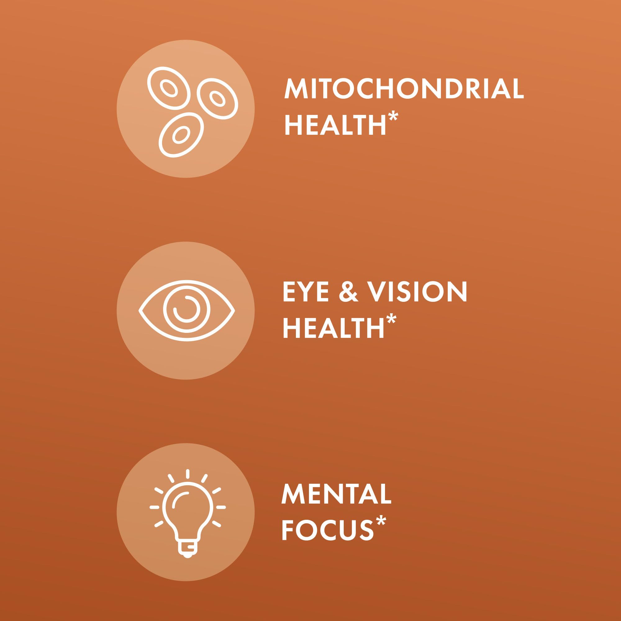 Focus and vision support imagery for Curcumin Advanced