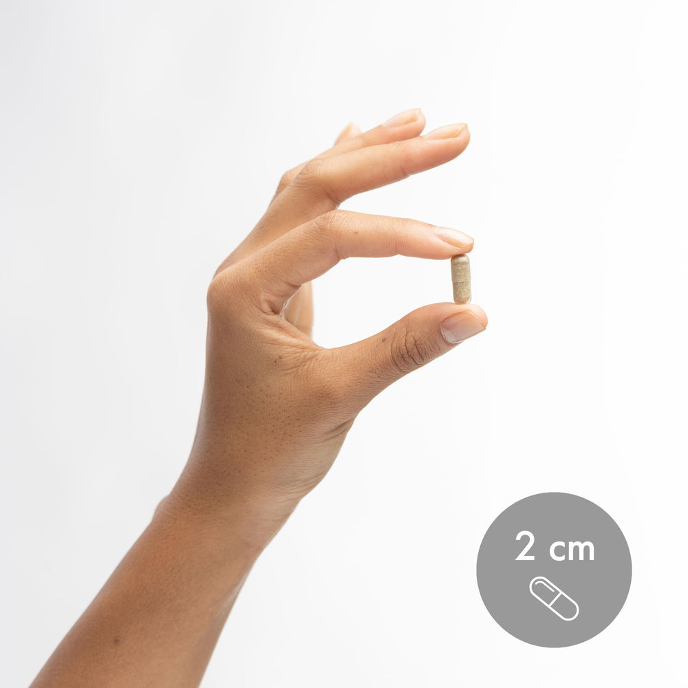 Product packaging and branding for Dr Mercola Digestive Enzymes