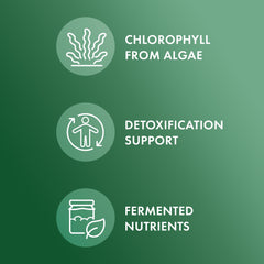 Close up of chlorella and chlorophyll ingredients